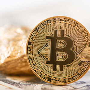 The Pros and Cons of Switching to a Fully Digital Payment Wallet
